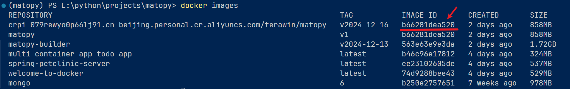 _images/matopy_docker_image.png